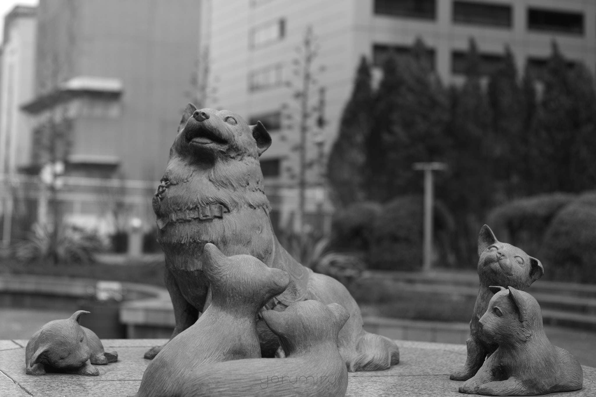 銀座スナップ Leica MM Summicron 50mm