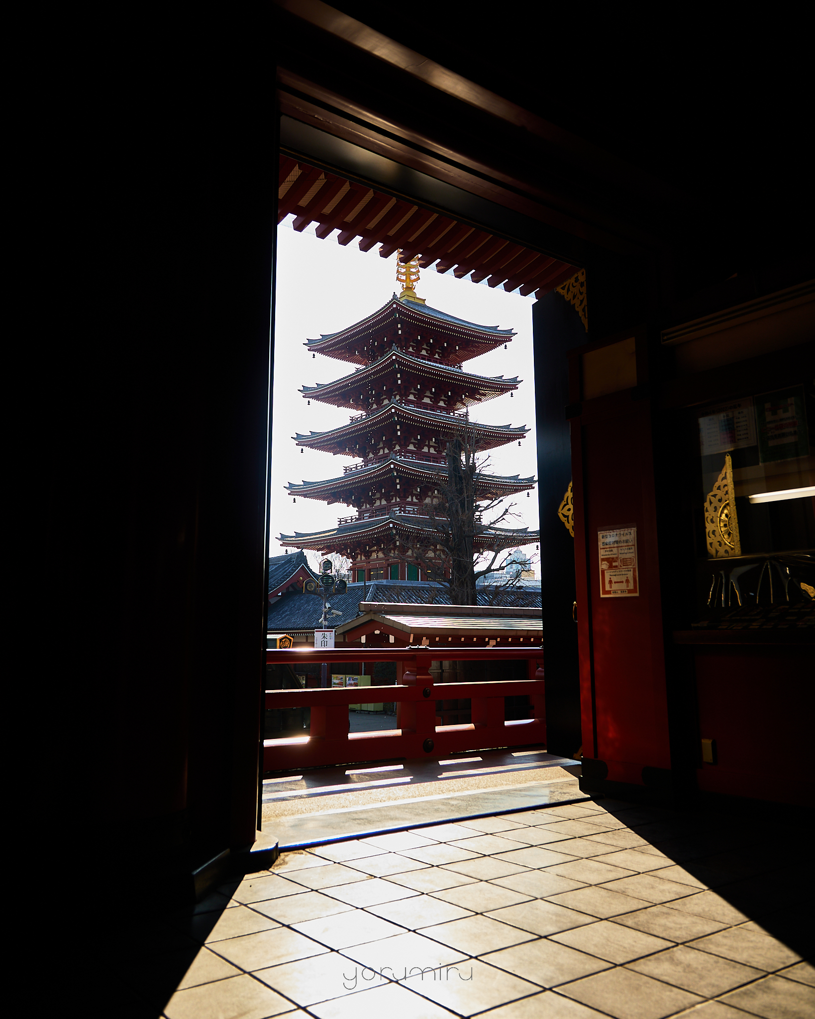 浅草スナップ CANON EOS R6